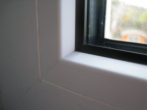 IMG_4520.JPG