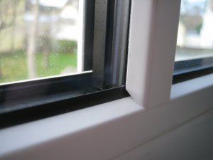 IMG_4521.JPG