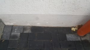 20171128_085916.jpg