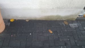 20171128_085920.jpg