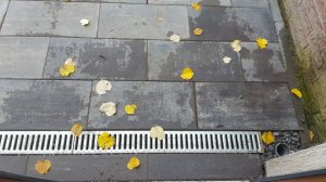 IMG-20171114-WA0005.jpg