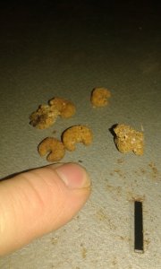20171123_194129.jpg