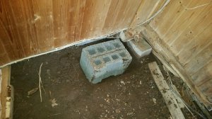 20170317_175326.jpg