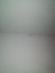 IMG_20171218_185835.jpg