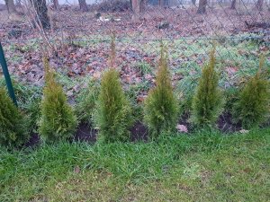 20171220_153458.jpg