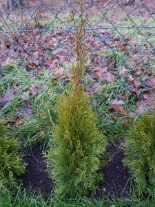 20171220_153436.jpg