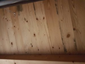 20171221_184130.jpg