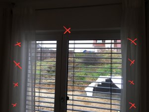 IMG_1367.JPG