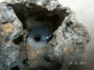 PICT0009.JPG