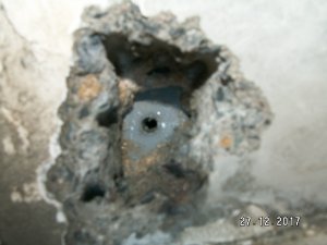 PICT0010.JPG