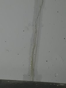 20180105_161524.jpg