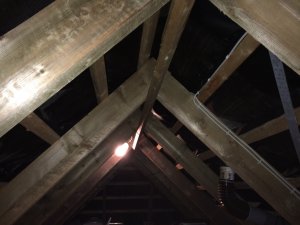 IMG_3833.JPG