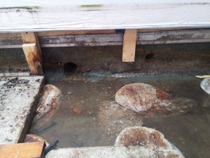 20171111_134543.jpg