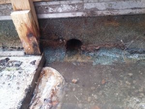 20171111_134807.jpg
