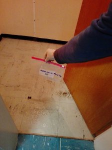 IMG_20170906_204742.jpg
