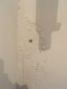 7283B178-E377-4EFF-9D4A-95C7C71F3386.jpeg