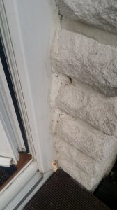 20180126_143640[1].jpg