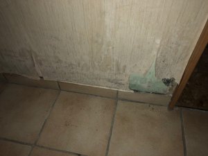 IMG_4414.jpg