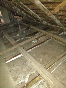 IMG_20180126_160309.jpg