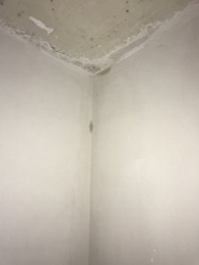 48F9E8A6-B806-4AEE-9911-F0C10AFA9BB9.jpeg