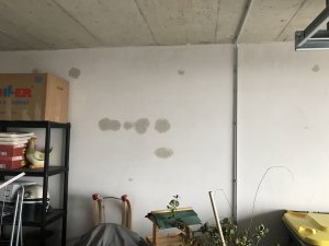 BC4D9C40-F020-4CBE-BD07-D55D209F8C54.jpeg
