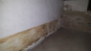 20180212_193901.jpg