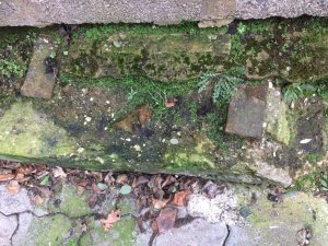 IMG_2187.JPG