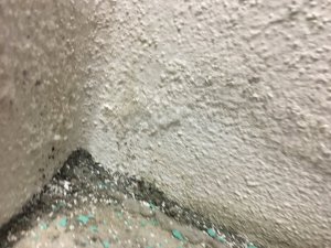 IMG_1928.JPG