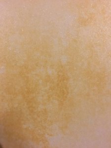 IMG_1564.JPG