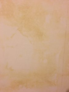 IMG_1588.JPG