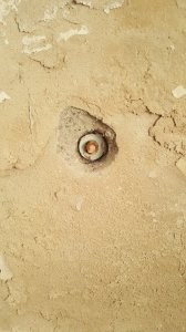 20180225_093822.jpg