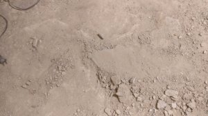 IMG_20180217_181008.jpg