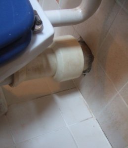 DSCF9471.JPG