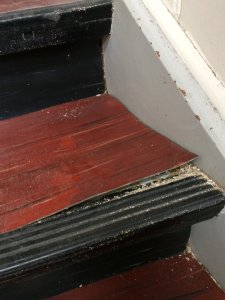 Foto 09.03.18, 14 55 50.jpg