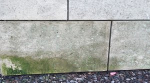 Testbild1.JPG