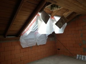 IMG_20170513_085943.jpg