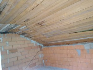 IMG_20170422_105150.jpg
