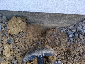 IMG_20180324_112055_553.jpg
