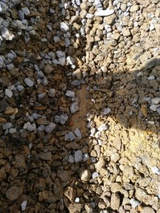 IMG_20180324_112117_746.jpg