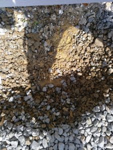 IMG_20180324_112122_186.jpg