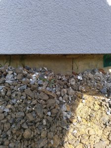 IMG_20180324_112124_362.jpg
