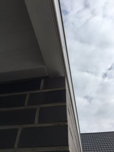 IMG_3795.JPG
