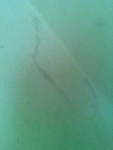 IMG_20180326_171205.jpg