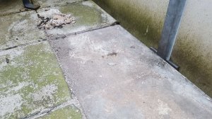 Fliesenkleber grob entfernt.jpg