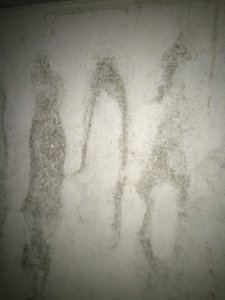IMG_5562.JPG