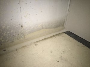 IMG_5571.JPG