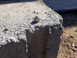 20180407_114808.jpg