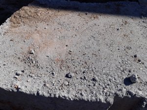 20180407_114853.jpg