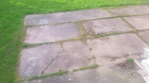 20180408_185939.jpg
