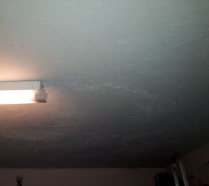 20180415_144643.jpg